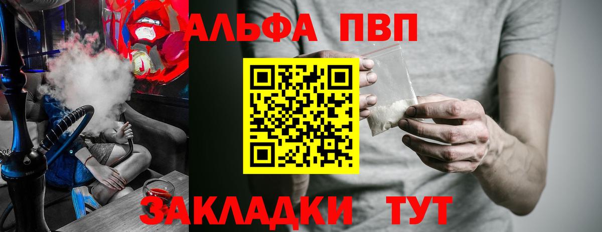 A PVP СК КРИС Курчалой