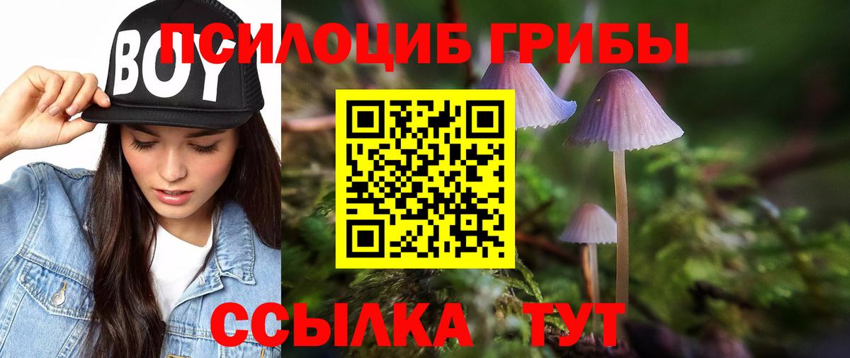 Галлюциногенные грибы прущие грибы Курчалой