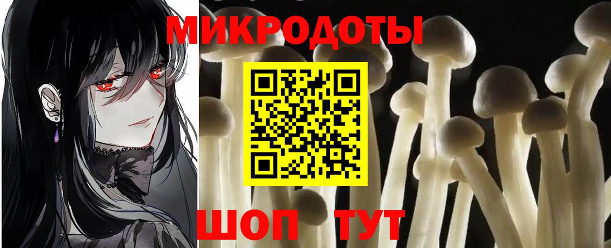 Галлюциногенные грибы Psilocybe  Галлюциногенные грибы GOLDEN TEACHER  Курчалой  Вход с VPN 