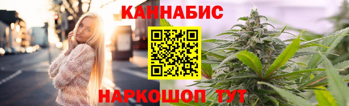 Курчалой  МАРИХУАНА гибрид  Вход с VPN  Каннабис планчик 